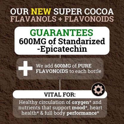 Cocoa Flavanoids